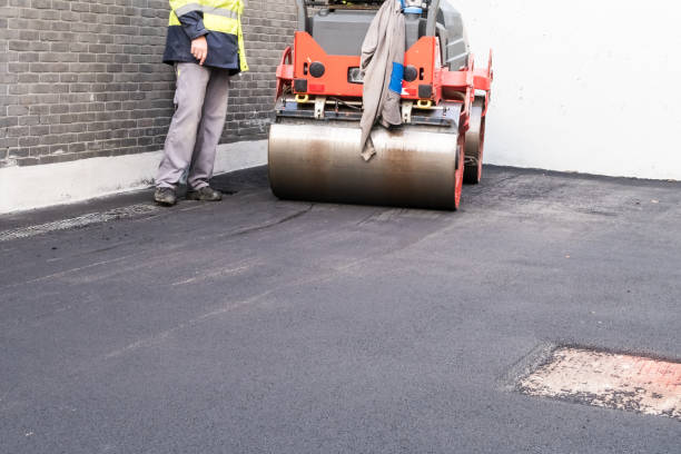 Best Recycled Asphalt Driveway Installation  in Sardis, MS